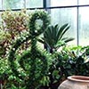 Purchasing Plants - How Gardeners Shop
