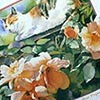 Nancy Tichbourne
