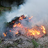 Birthday Bonfires...