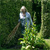 Freedom Gardening