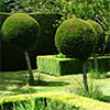 Peak Season Garden Tours