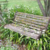 Garden Bench