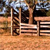 Dry Grass by the Yards