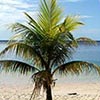 Samoa - Part Three