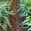 Hen House Garden Paths