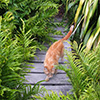 Needed: A New Garden Project...