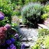Assorted Gardening Sites