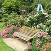 Old Fashioned Rose Garden