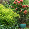 New spring photographs...