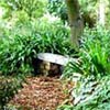 Virtual Gardening