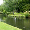 Christchurch Botanic Gardens