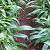 Messy paths again...
