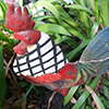 Hen House Garden Images