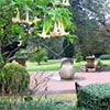Sydney Botanic Gardens