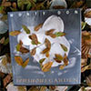 The Sensuous Gardener - Inspired by Monty Don