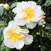 Lovely spring things...