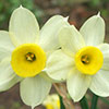 The spring equinox has arrived...