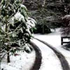 Snow storms...