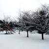 Snow in 2002