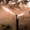 Garden Water