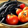 Autumn Harvest