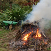 The autumn bonfire - days 2 and 3