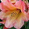 Garden Club Spring Trip