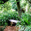 Shady Garden Bench