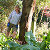Senior Gardener!