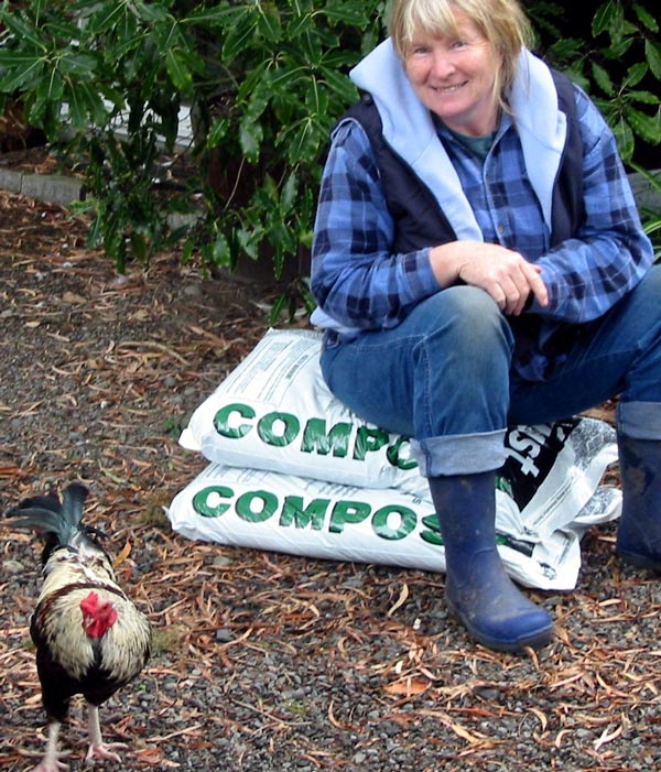 Poultry can contribute to compost-making. Poultry can contribute to compost-making.