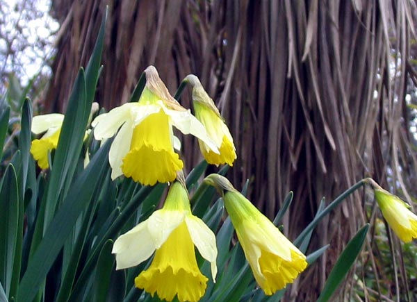 Spring is coming. Spring is coming.