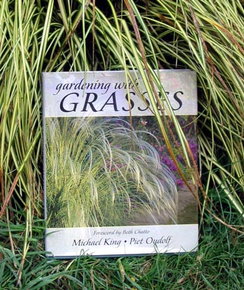 Grasses of all sorts and sizes. Grasses of all sorts and sizes.