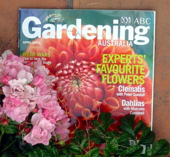 Full of colourful flowers. Full of colourful flowers.