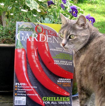 A really good read. A really good read.