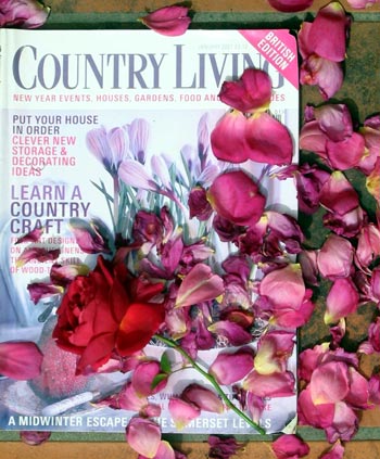  And there, on page 51... 