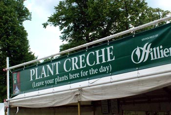  Need a begonia babysitter? Go to the RHS Hampton Court Plant Creche 