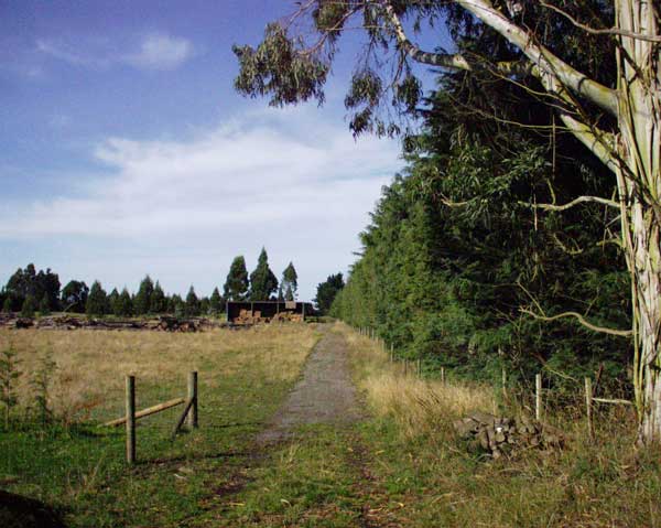 This is one of the sheep paddocks. This is one of the sheep paddocks.