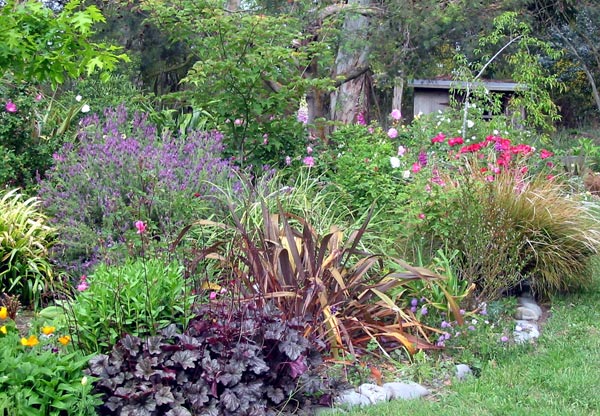  Roses and perennials share the summer sun. 