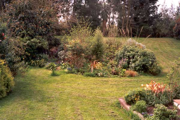 This picture of the island garden beds and lawn was taken in spring This picture of the island garden beds and lawn was taken in spring