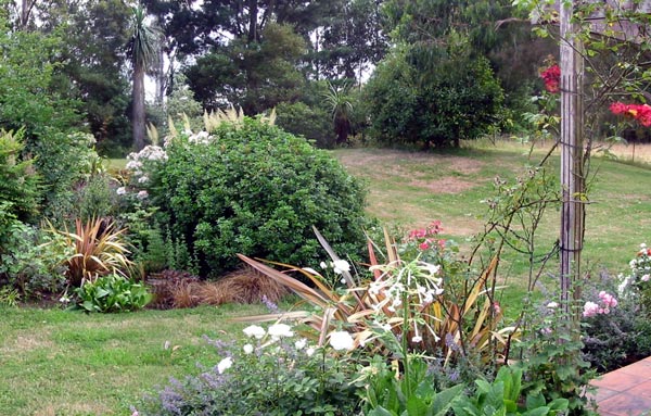 I love seeing how much growth there has been in the garden. I love seeing how much growth there has been in the garden.