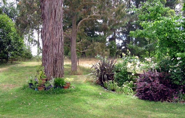  In 2003 the garden was just getting properly organised! 