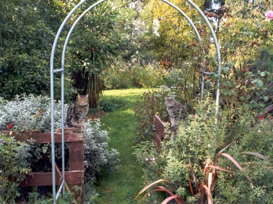 big fat sifter on the left and stumpy the cat on the right big fat sifter on the left and stumpy the cat on the right