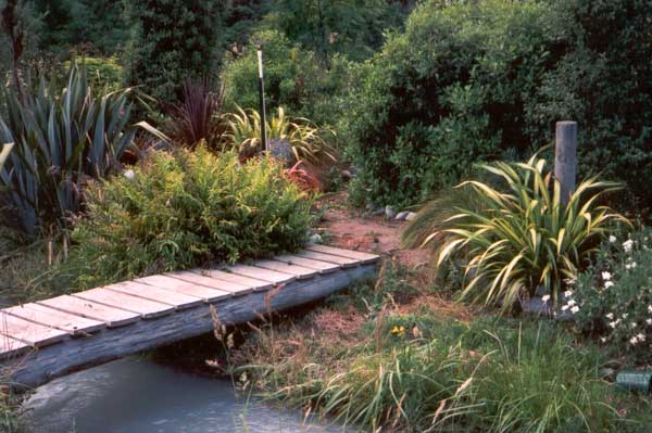 The flax to the right of Middle Bridge is Yellow Wave. The flax to the right of Middle Bridge is Yellow Wave.