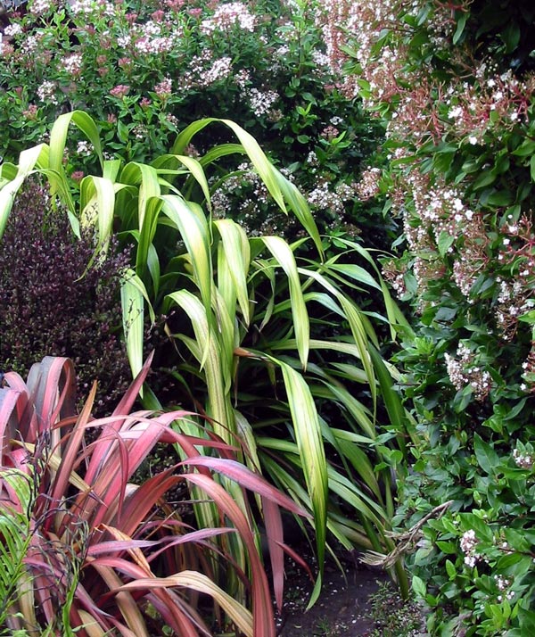Textures in the autumn garden. Textures in the autumn garden.
