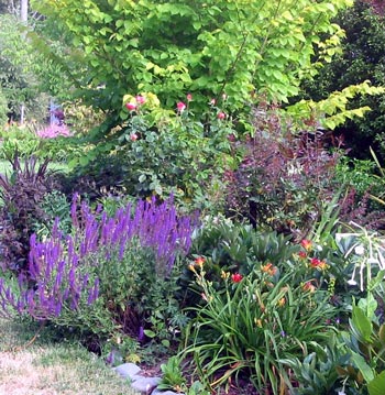 This is the mixed border by Middle Path. This is the mixed border by Middle Path.