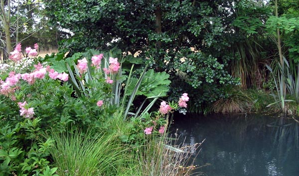 With flaxes and gunnera for neighbours.