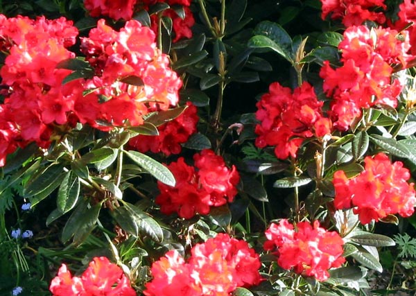 Sorry I have no way of knowing its name. Sorry I have no way of knowing its name.