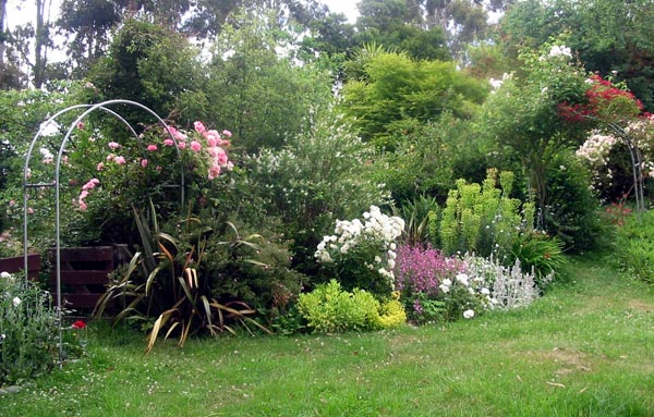 And some handsome perennials. And some handsome perennials.
