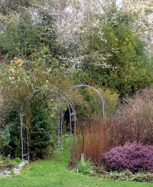 This picture was taken before I cleaned up this garden area. This picture was taken before I cleaned up this garden area.