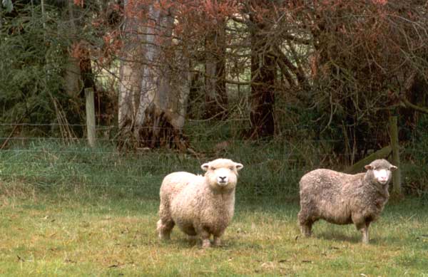 This photograph was taken back in 1998.